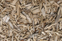 biomass boilers Garnlydan